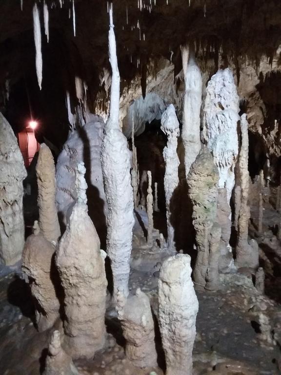 Pensiunea Piatra Graitoare Выртоп Экстерьер фото