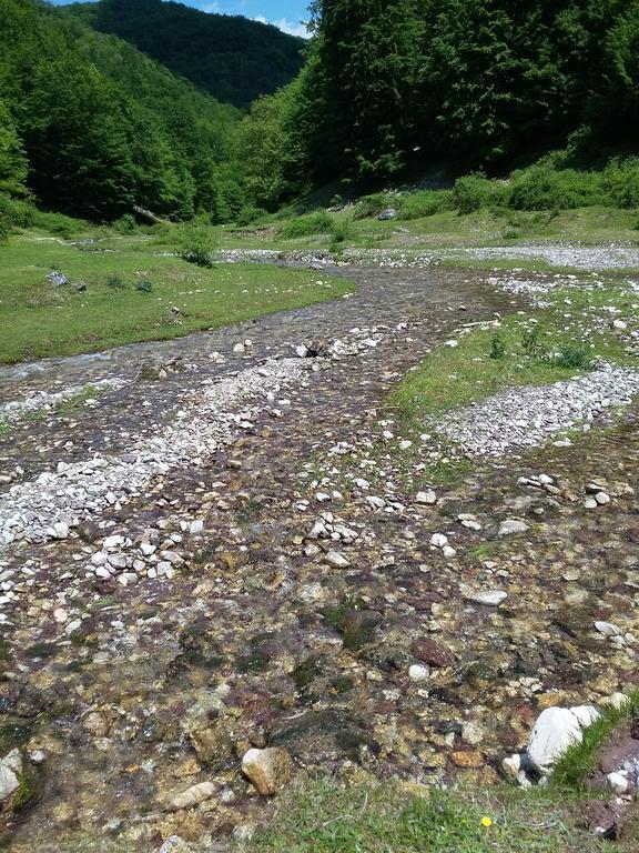 Pensiunea Piatra Graitoare Выртоп Экстерьер фото