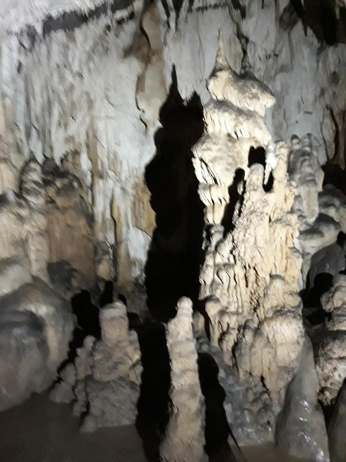Pensiunea Piatra Graitoare Выртоп Экстерьер фото
